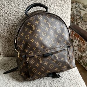 LOUIS VUITTON Palm Springs MM Monogram
