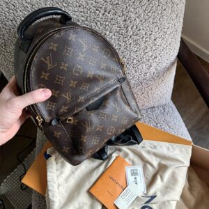 LOUIS VUITTON Palm Springs PM (nový typ)