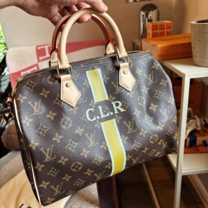 LOUIS VUITTON Speedy 30 Mon Monogram