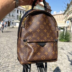LOUIS VUITTON Palm Springs PM 2019