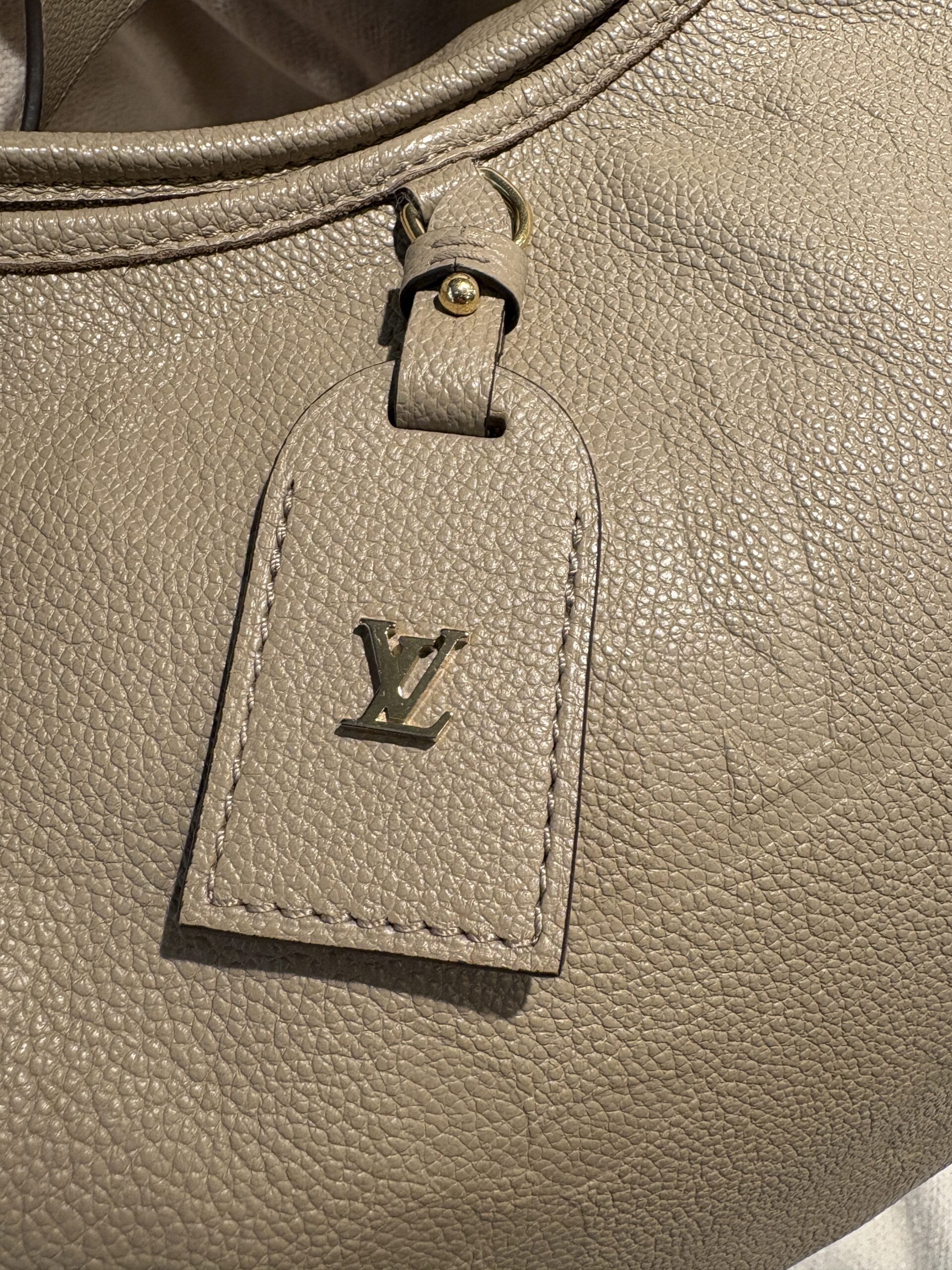 LOUIS VUITTON CarryAll MM Dune Empreinte Leather 2023 - Obrázek 3