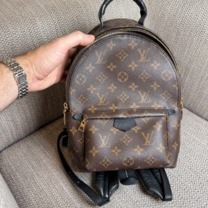 LOUIS VUITTON Palm Springs PM Monogram 2020