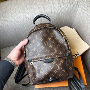 LOUIS VUITTON Palm Springs PM Monogram 2016