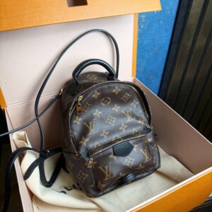LOUIS VUITTON Palm Springs Mini